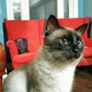 Meet your Posher, Jacqueline06